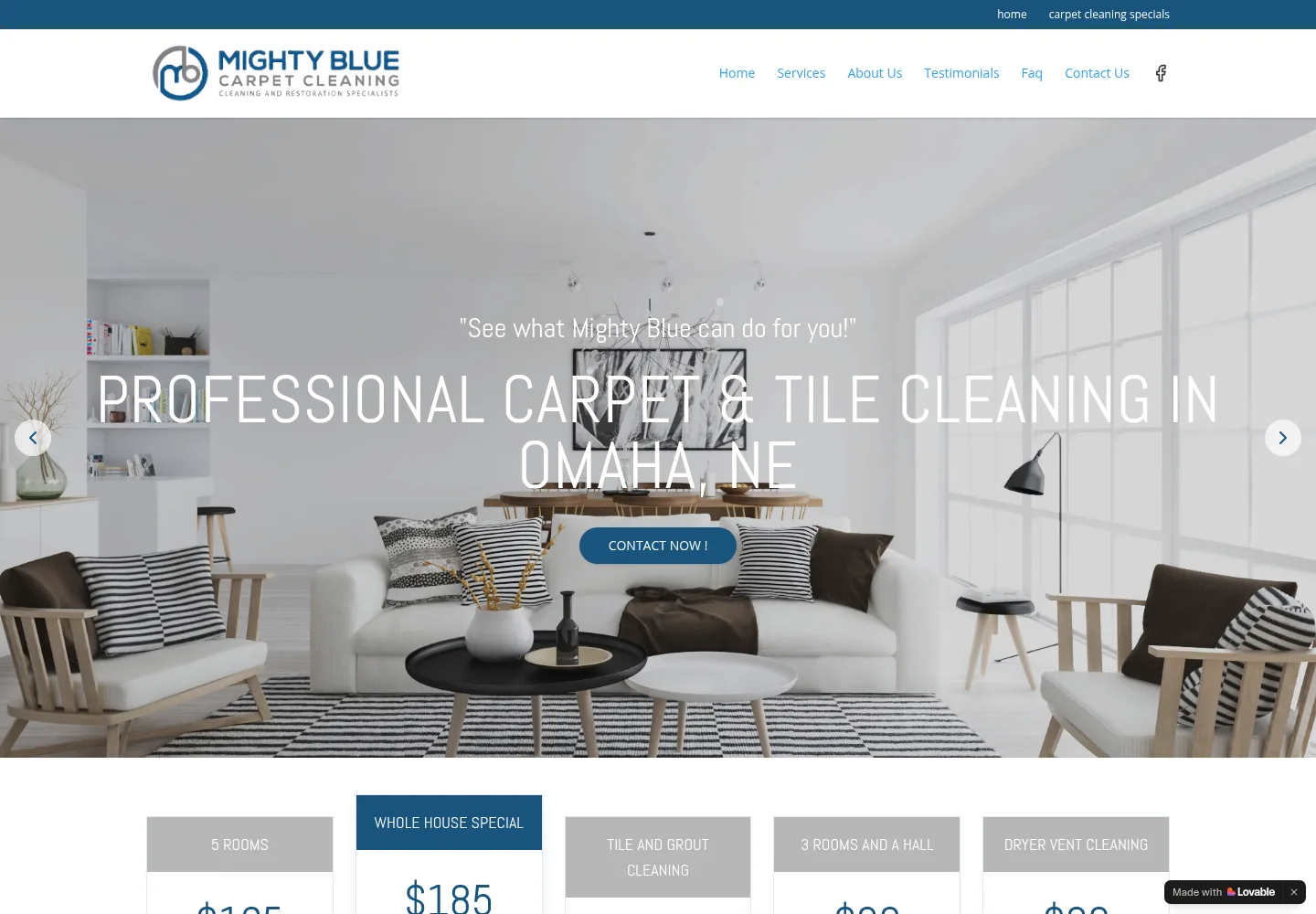Mighty Blue Carpet Cleaning homepage preview — mightybluecarpetcleaning.com